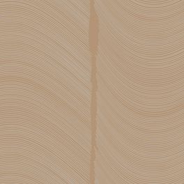 Обои флизелиновые  "Maree" производства Loymina, арт. BR4 002/1, светло-коричневого цвета, с абстрактным волнообразным рисунком , купить в шоу-руме Одизайн в Москве